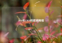 2016年CSGO的震撼辉煌