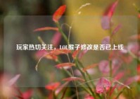 玩家热切关注，LOL猴子修改是否已上线