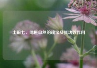 土田七，隐匿自然的瑰宝及其功效作用