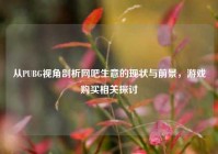 从PUBG视角剖析网吧生意的现状与前景，游戏购买相关探讨