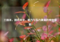 三国杀，国色风华，魅力与实力兼具的独特技能