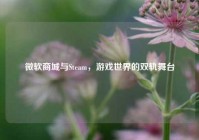 微软商城与Steam，游戏世界的双轨舞台