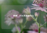 揭秘，PUBG究竟是什么