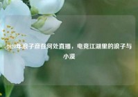 2020年浪子彦在何处直播，电竞江湖里的浪子与小漠