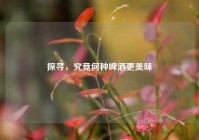 探寻，究竟何种啤酒更美味