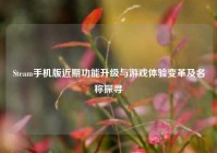 Steam手机版近期功能升级与游戏体验变革及名称探寻