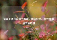 黄连上清片说明书解读，用药安全、疗效及功能主治指引