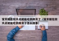 宝贝腿在放大点就能吃到扇贝了（宝贝腿在放大点就能吃到扇贝了怎么回事）