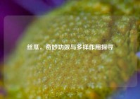 丝瓜，奇妙功效与多样作用探寻