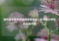 提升和平精英直播间观看体验，显示器分辨率的关键作用