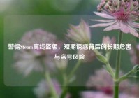 警惕Steam离线盗版，短期诱惑背后的长期危害与盗号风险