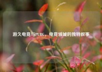 游久电竞与PUBG，电竞领域的独特叙事
