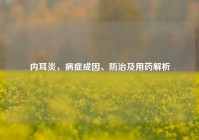 内耳炎，病症成因、防治及用药解析