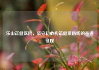 乐山正健医院，坚守初心构筑健康防线的奋进征程