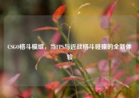 CSGO格斗模组，当FPS与近战格斗碰撞的全新体验