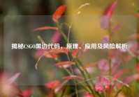 揭秘CSGO黑边代码，原理、应用及风险解析