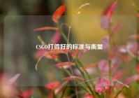 CSGO打得好的标准与衡量