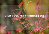 CSGO职业光影，开启竞技世界的视觉密钥