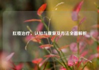 肛瘘治疗，认知与康复及     全面解析