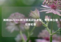 揭秘DKG与WBG和平精英战队老板，电竞舞台幕后掌舵者