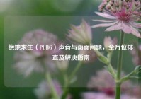 绝地求生（PUBG）声音与画面问题，全方位排查及解决指南