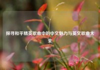 探寻和平精英歌曲中的中文魅力与英文歌曲大全