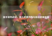 新手爸妈必知，婴儿积食判断与排出迹象指南