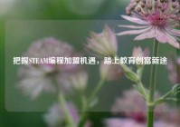 把握STEAM编程加盟机遇，踏上教育创富新途