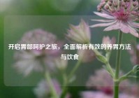 开启胃部呵护之旅，全面解析有效的养胃     与饮食