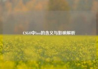 CSGO中loss的含义与影响解析