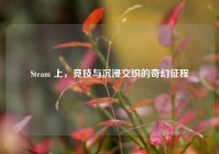 Steam 上，竞技与沉浸交织的奇幻征程