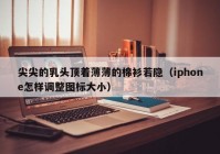尖尖的乳头顶着薄薄的棉衫若隐（iphone怎样调整图标大小）