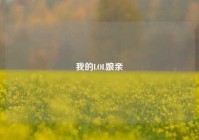 我的LOL娘亲