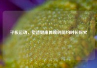 平板运动，塑造健康体魄的简约时长探究