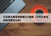 公愆憩止痒玉米地被315通报（公愆止痒玉米地效果怎么样）