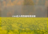 CSGO达人的热血电竞征程