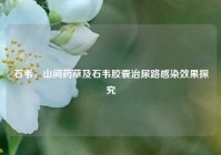 石韦，山间药草及石韦胶囊治尿路感染效果探究