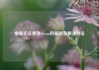 电脑无法登录Steam的原因及解决办法