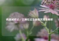 鸡蛋减肥法，正确吃法及真相实践全解析