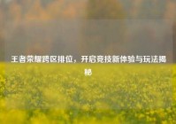 王者荣耀跨区排位，开启竞技新体验与玩法揭秘
