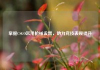 掌握CSGO常用枪械设置，助力竞技表现提升