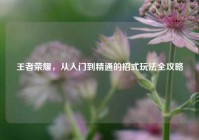 王者荣耀，从入门到精通的招式玩法全攻略