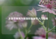 王者荣耀海外版国际服新手入门指南