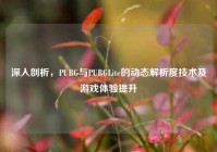 深入剖析，PUBG与PUBGLite的动态解析度技术及游戏体验提升