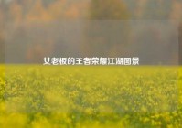 女老板的王者荣耀江湖图景