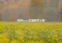 我的Steam狂猎购买之旅