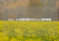 CSGO，AK 的独特魅力与 Rank 进阶秘籍