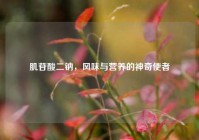 肌苷酸二钠，风味与营养的神奇使者