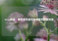Steam背键，解锁游戏操控新维度的隐藏利器