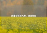 法律征程逐光者，胡瑾简介